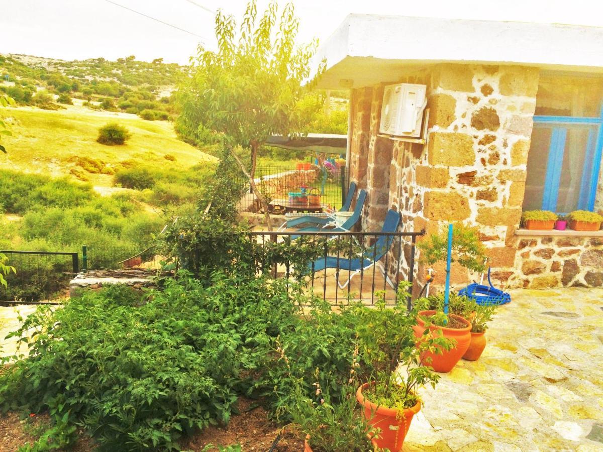 Alterna Koey Evi ξενώνας Ayvacik Εξωτερικό φωτογραφία