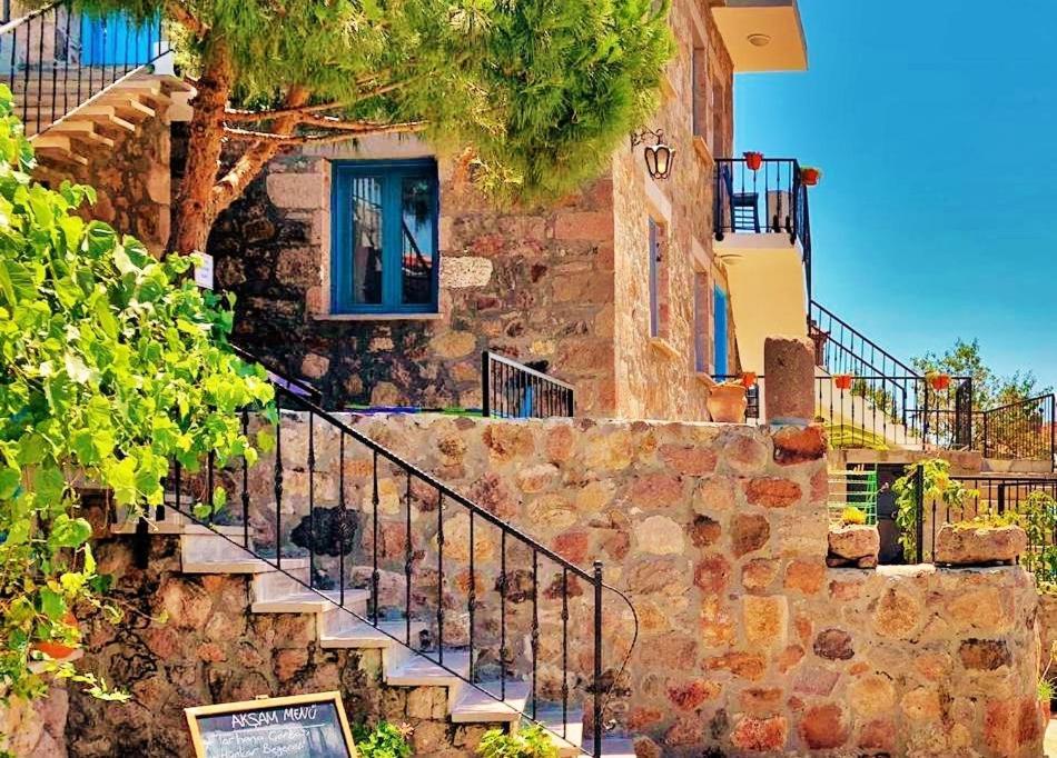 Alterna Koey Evi ξενώνας Ayvacik Εξωτερικό φωτογραφία