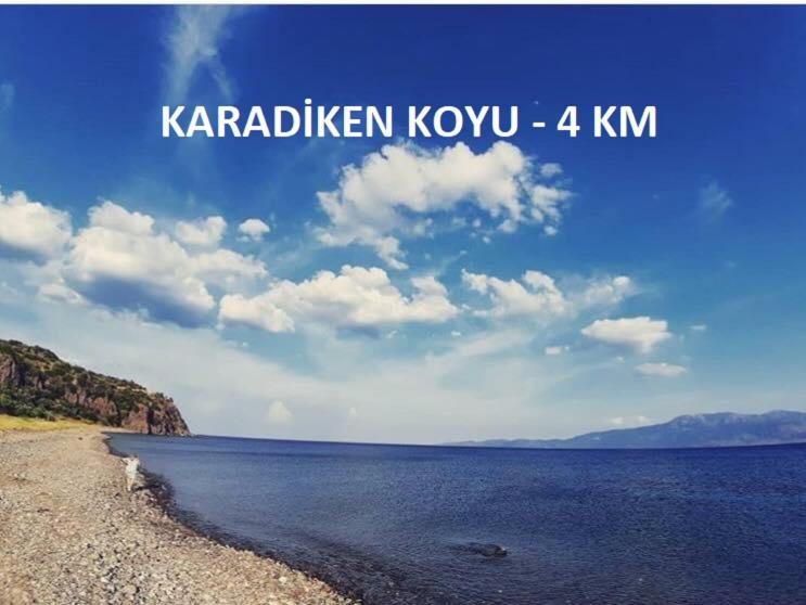 Alterna Koey Evi ξενώνας Ayvacik Εξωτερικό φωτογραφία