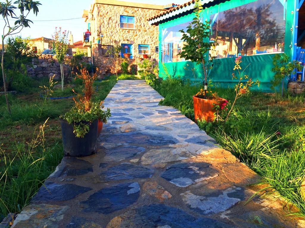 Alterna Koey Evi ξενώνας Ayvacik Εξωτερικό φωτογραφία