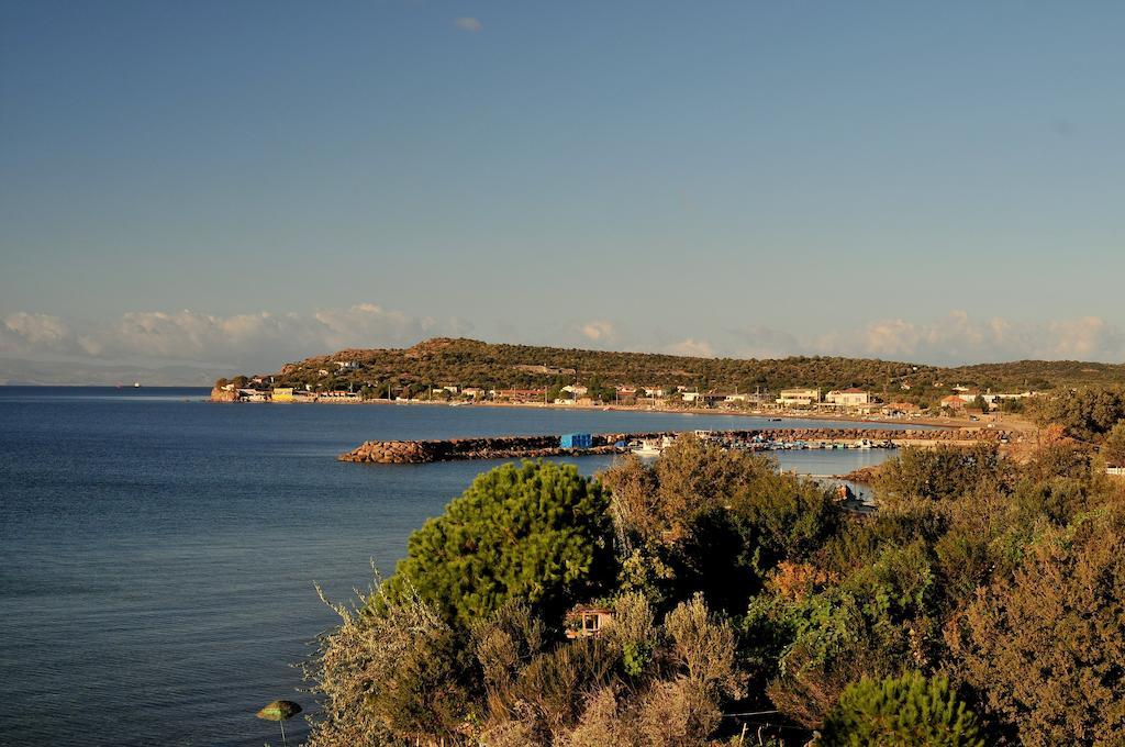 Alterna Koey Evi ξενώνας Ayvacik Εξωτερικό φωτογραφία
