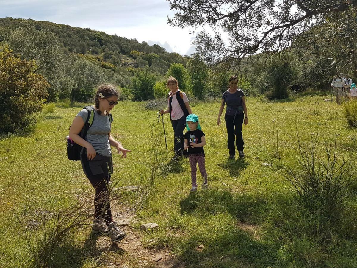 Alterna Koey Evi ξενώνας Ayvacik Εξωτερικό φωτογραφία