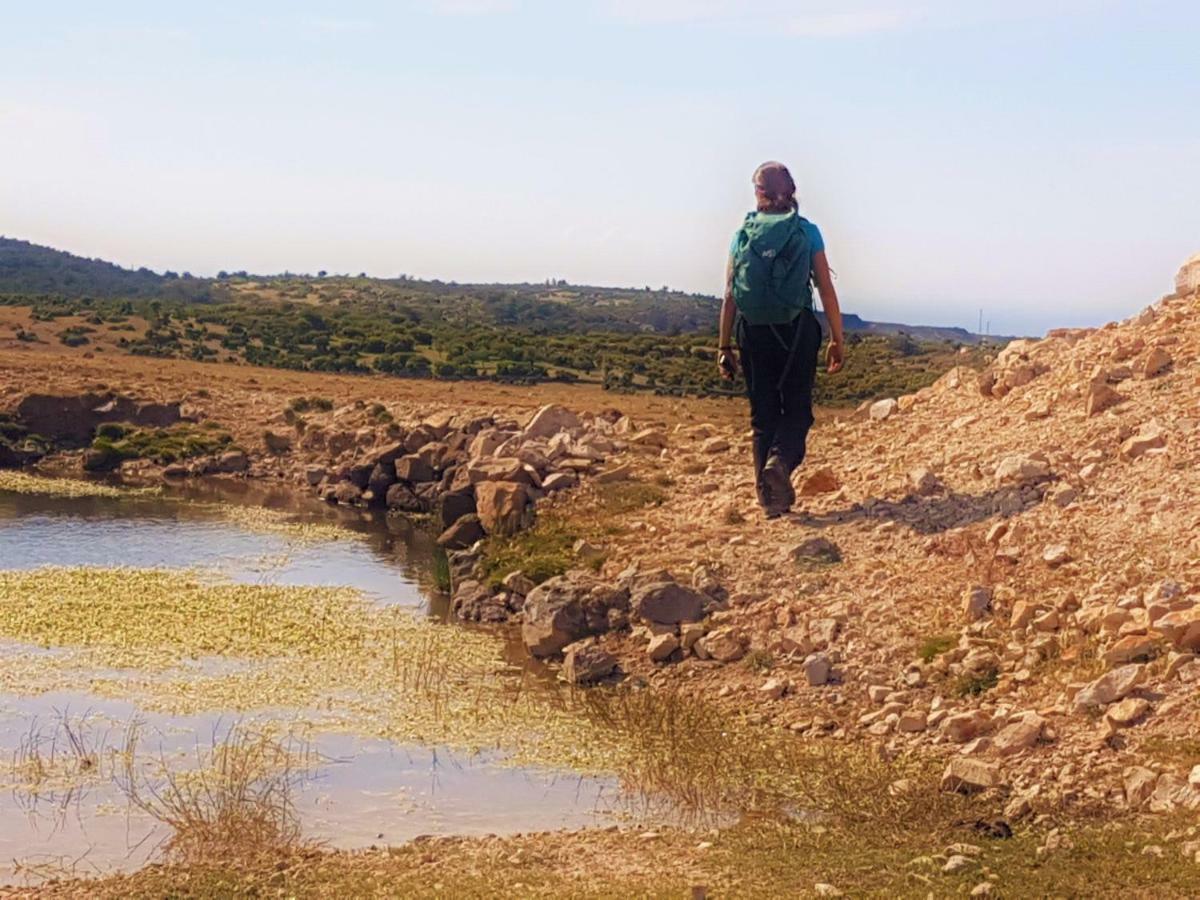 Alterna Koey Evi ξενώνας Ayvacik Εξωτερικό φωτογραφία