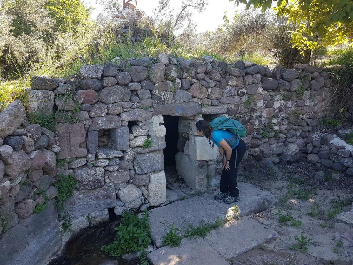 Alterna Koey Evi ξενώνας Ayvacik Εξωτερικό φωτογραφία