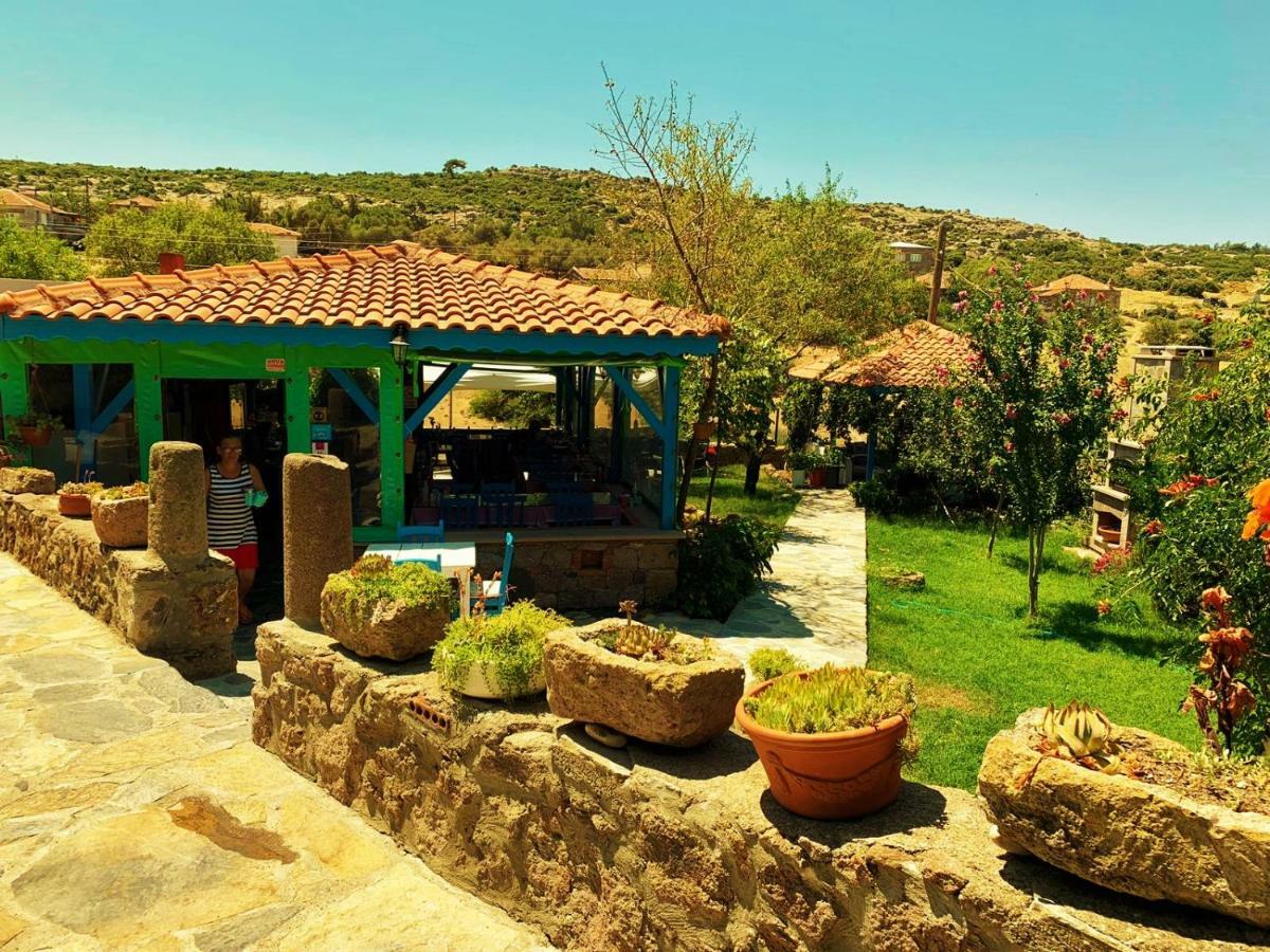 Alterna Koey Evi ξενώνας Ayvacik Εξωτερικό φωτογραφία