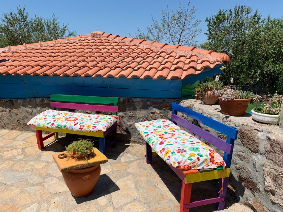Alterna Koey Evi ξενώνας Ayvacik Εξωτερικό φωτογραφία
