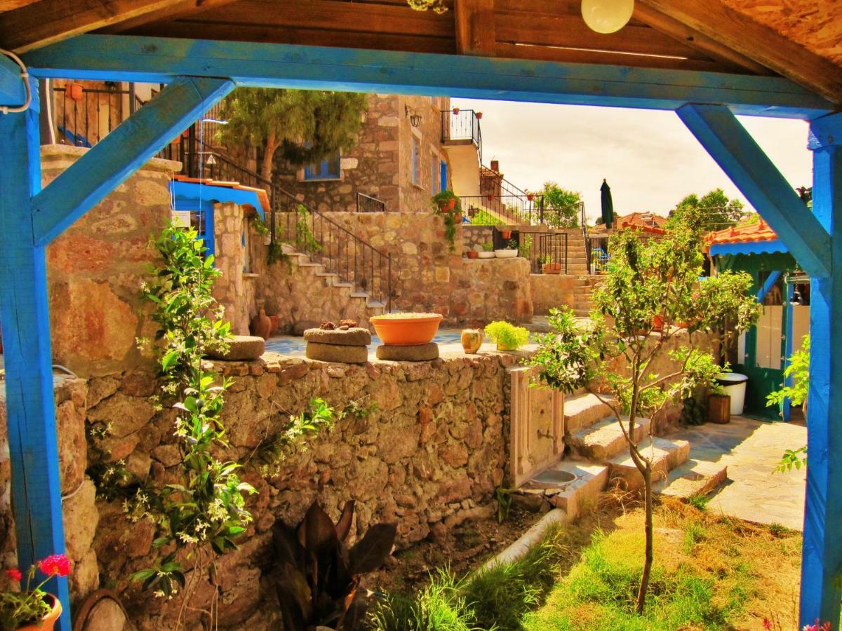 Alterna Koey Evi ξενώνας Ayvacik Εξωτερικό φωτογραφία
