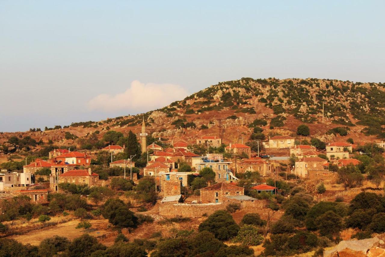 Alterna Koey Evi ξενώνας Ayvacik Εξωτερικό φωτογραφία