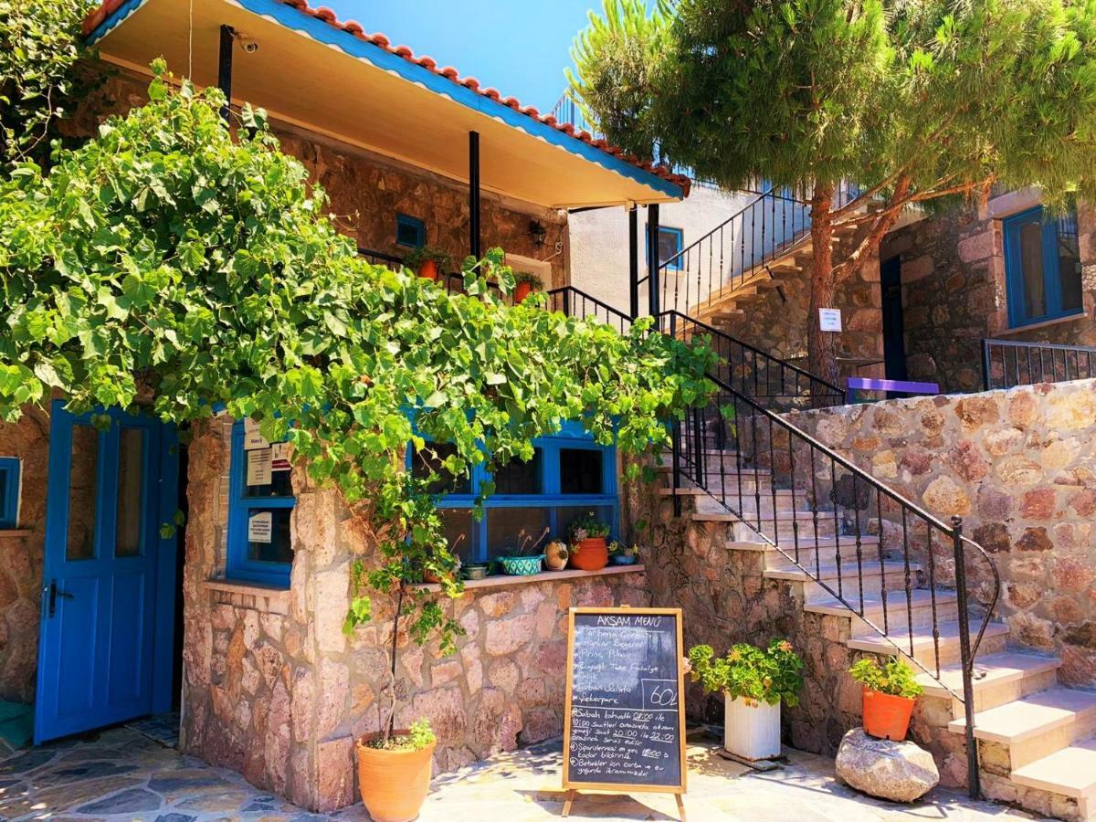Alterna Koey Evi ξενώνας Ayvacik Εξωτερικό φωτογραφία